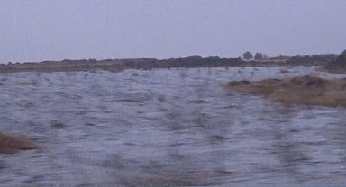 Şanlıurfa'ya mevsimin ilk kar yağışı başladı