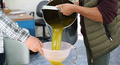 Seferihisar'da zeytinyağı sezonu açıldı