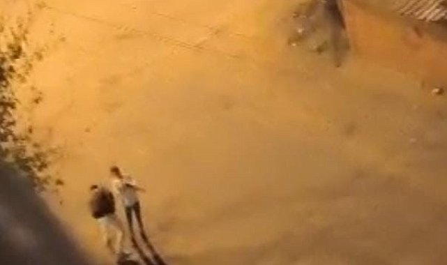Şehir magandası gözaltına alındı