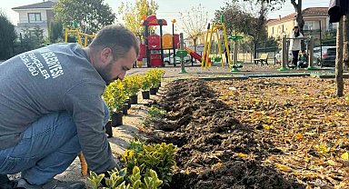 Serdivan'ın yeşil alanları güzelleşiyor