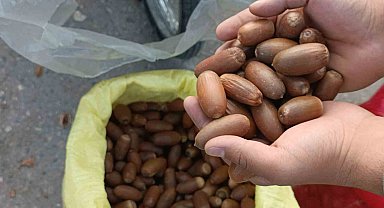 Siirt'te kestane yerine "meşe palamudu" tezgahta yer aldı