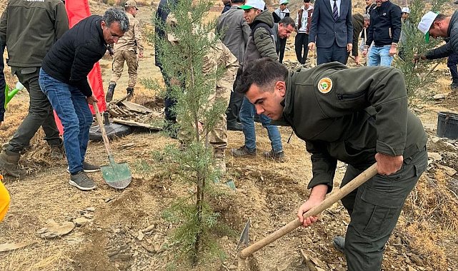 Sincik'te 100 fidan toprakla buluştu