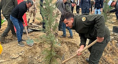 Sincik'te 100 fidan toprakla buluştu