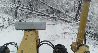 Sinop'ta fırtına ağaç devirdi, yol trafiğe kapandı