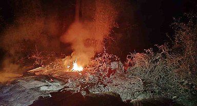 Sinop'ta ormanlık alanda yangın