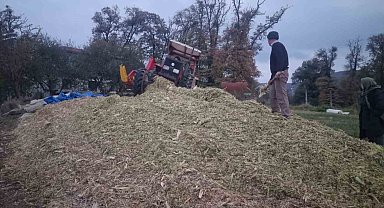 Sinop'ta silajlık mısır hasadı sona erdi