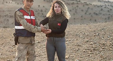 Şırnak'ta kukumav kuşu koruma altına alındı