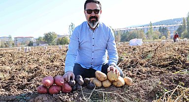 Sivas'ta renkli hasat başladı