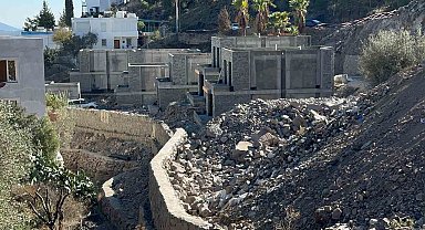 Suavi'nin Bodrum'daki arazisinde 40 ağaç kesildi