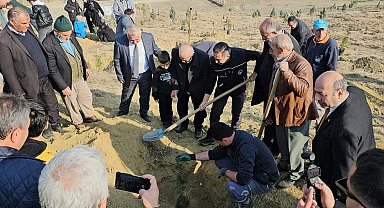 Sungurlu'da fidanlar toprakla buluştu