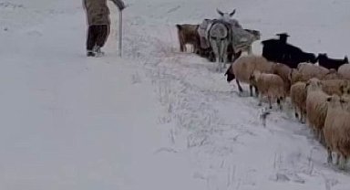 Sürü sahipleri kar ve tipiye yakalandı