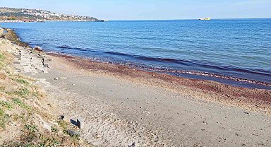 Tekirdağ'da kıyı kızıla boyandı