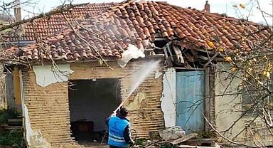 Tekkeköy'de istilacı kahverengi kokarcaya karşı savaş açıldı