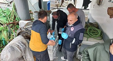 Türkeli'de su ürünleri denetimi