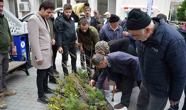 Türkeli'de vatandaşlara ücretsiz fidan dağıtıldı