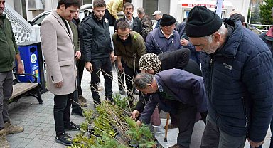 Türkeli'de vatandaşlara ücretsiz fidan dağıtıldı