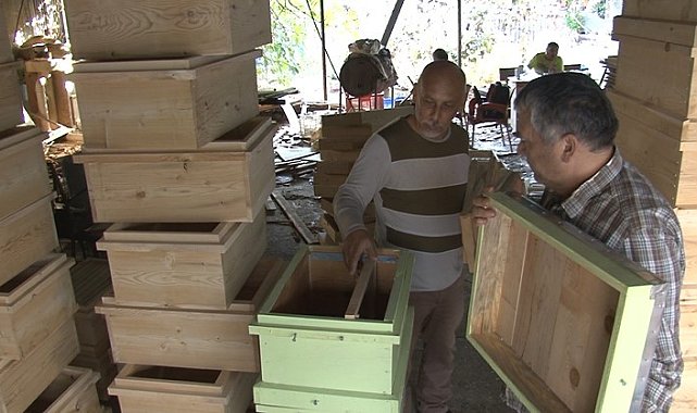 Türkiye'nin arı kovanları Alanya'dan