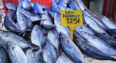 Ucuz palamut için son günler