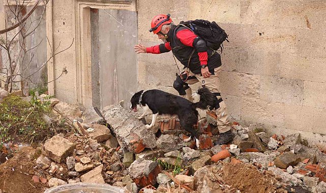 Uluslararası 'Arama Kurtarma Köpekleri Şampiyonası' Çekmeköy'de yapıldı