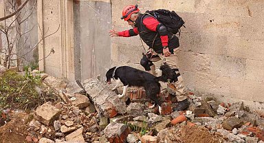 Uluslararası 'Arama Kurtarma Köpekleri Şampiyonası' Çekmeköy'de yapıldı