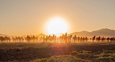 Ürgüp At Festivali başlıyor