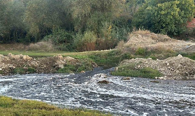 Uşak OSB'den bırakılan atıkların Gediz Nehri'nde kirlilik ve balık ölümlerine neden olduğu iddia edildi