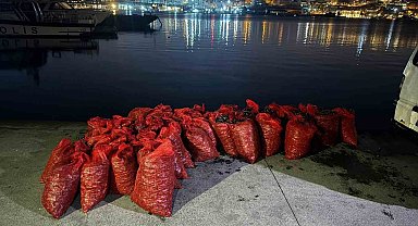 Üsküdar'da 2 ton kaçak midye ele geçirildi