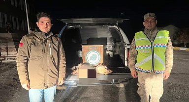 Van'da gece avcılığı yapan bir kişiye 15 bin 873 lira idari para cezası uygulanacak