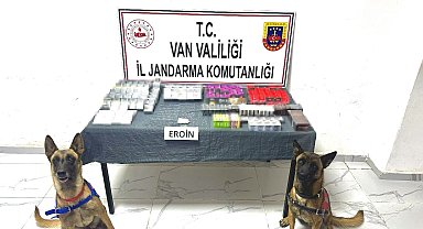 Van'da gümrük kaçakçılığı operasyonları