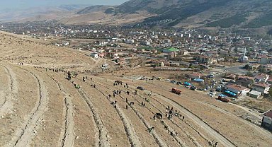Yahyalı'da binlerce fidan toprakla buluştu
