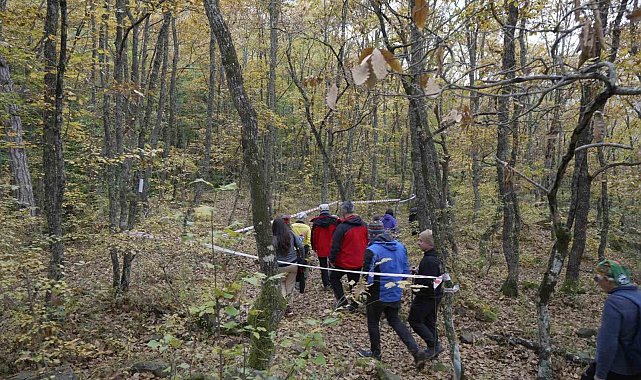 Yenice ormanlarında tepki çeken çevre kirliliği