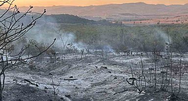 Yenişehir'de çıkan yangın kontrol altına alındı
