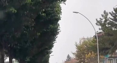 Yerinden çıkan mazgal ve başıboş at trafiği tehlikeye attı
