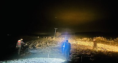 Yozgat'ta kaybolan büyükbaş hayvanlar Jandarma ekiplerince bulundu