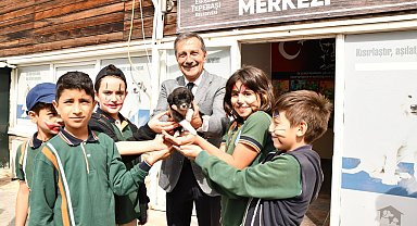 2024'te 607 can sıcak bir yuvaya kavuştu