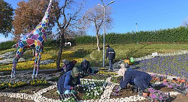 300 bin kış çiçeği toprakla buluşuyor