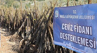 'Her Kapıda Bir Fidan Projesi' Menteşe'de başlıyor