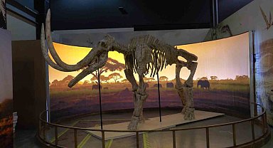 7,5 milyon yıllık tarih Kayseri'de ayaklanıyor