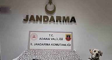 Adana'da 8 bin 523 adet uyuşturucu hap ele geçirildi