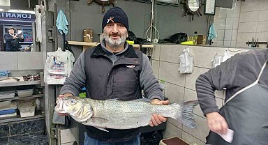 Akçakoca'da balıkçıların ağları doldu, 9 kiloluk levrek yakalandı