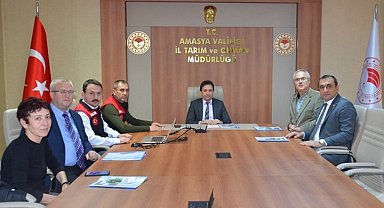 Amasya'da Kahverengi Kokarca zararlısı ile mücadele tedbirleri masaya yatırıldı