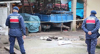 Annesinin horozları komşuya verdiğini duyunca tüfekle dehşet saçtı