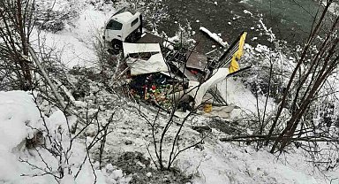 Artvin'de meyve yüklü kamyon dereye yuvarlandı: 1 yaralı