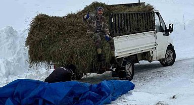 Artvin'de zorlu kış şartlarında hayvanlar için ot taşıma mücadelesi
