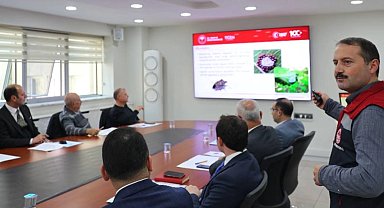 Artvin'de 'kahverengi kokarca' tehdidine karşı mücadele