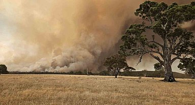 Avustralya'da orman yangını: 70 bin hektarlık alan kül oldu