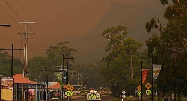 Avustralya'daki orman yangınında Singapur büyüklüğünde alan küle döndü