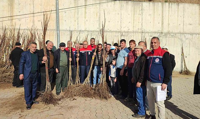 Aydın'da tarımsal üretime destek