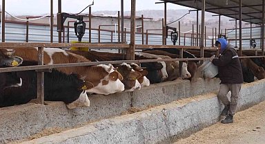 Az hayvanla başladılar, destekler sayesinde şimdi dev çiftlik kurmaya hazırlanıyorlar