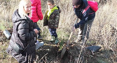 Balıkesir'de 7'den 70'e fidan diktiler